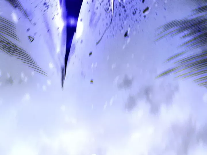 Thảm Họa Tử Linh Sư - Chapter 246 - Page 66