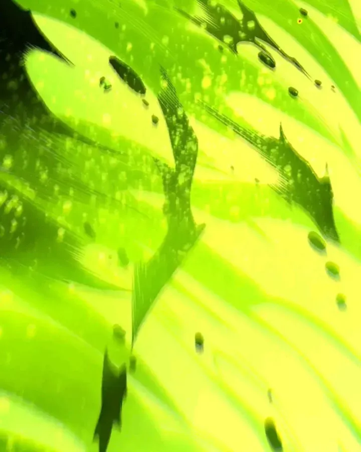 Thảm Họa Tử Linh Sư - Chapter 247 - Page 48