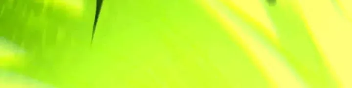 Thảm Họa Tử Linh Sư - Chapter 247 - Page 49