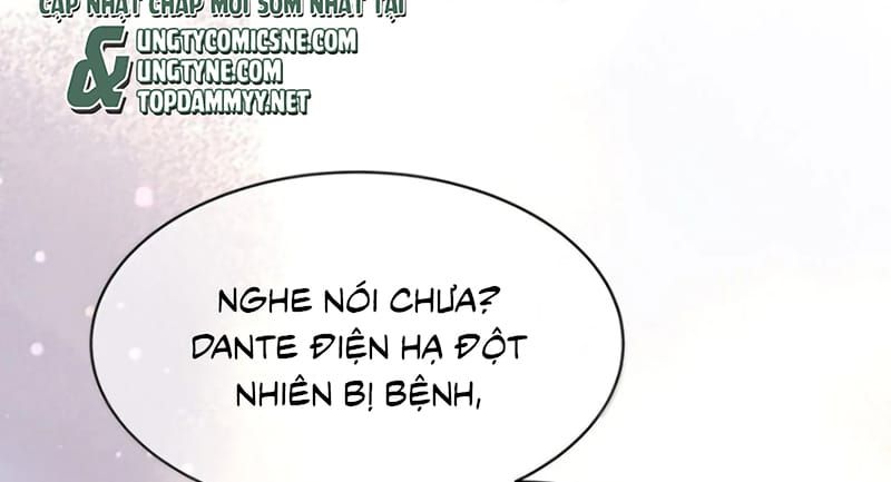 Tôi Trùng Sinh Trở Thành Tiểu Ác Long Của Vương Tử Điện Hạ - Chapter 113 - Page 17