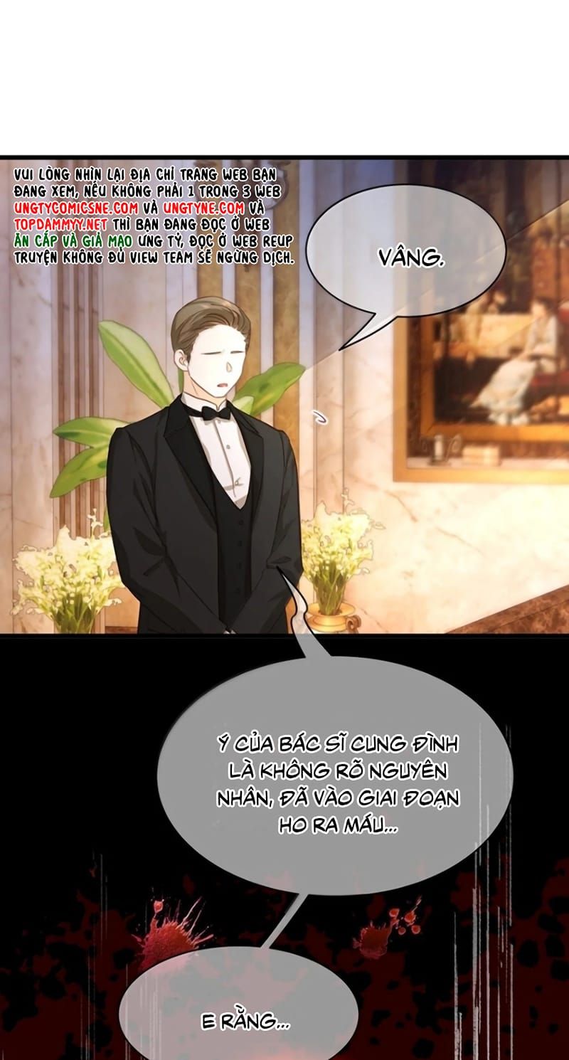 Tôi Trùng Sinh Trở Thành Tiểu Ác Long Của Vương Tử Điện Hạ - Chapter 113 - Page 24