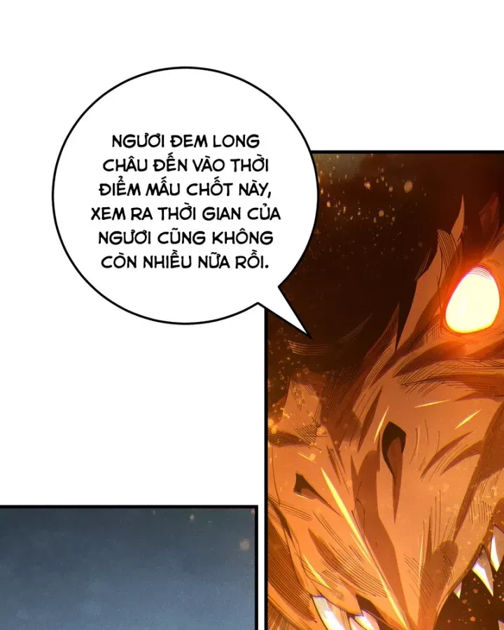 Thảm Họa Tử Linh Sư - Chapter 250 - Page 12