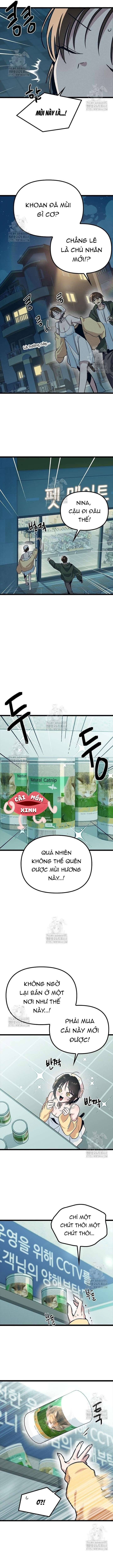 Thiếu Nữ 12 Con Giáp - Chapter 21 - Page 13