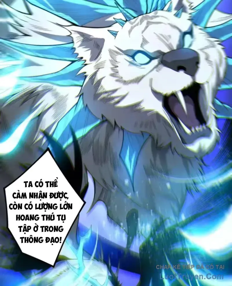 Thảm Họa Tử Linh Sư - Chapter 252 - Page 72