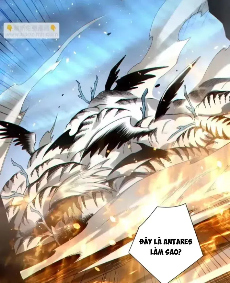 Thảm Họa Tử Linh Sư - Chapter 254 - Page 81