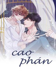 Cao Phán - Ảnh bìa truyện tranh