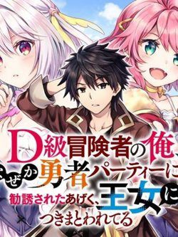 image D-kyuu Boukensha no Ore Naze ka Yuusha Party ni Kanyuu Sareta Ageku Oujo ni Tsukima Towareteru