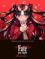 Fate/Stay Night: Unlimited Blade Works Fate/Stay Night: Unlimited Blade Works - Ảnh bìa truyện tranh