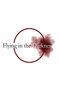 Flying in the Darkness Flying in the Darkness - Ảnh bìa truyện tranh
