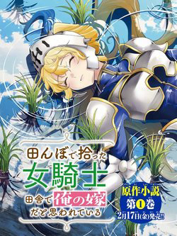 image I Found a Female Knight in a Rice Field in the Countryside They Think She’s My Wife