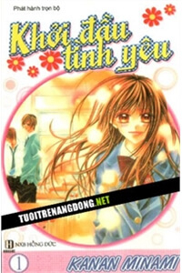 image Khởi đầu tình yêu