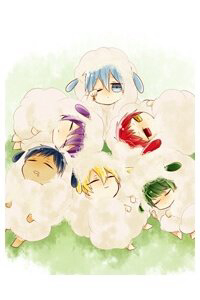 image Kuroko – Tuyển thủ vô hình: Shounen-ai