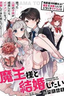 Maou-Sama To Kekkonshitai - Ảnh bìa truyện tranh