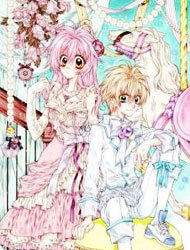 image Neko to Watashi no Kinyoubi