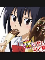 image Seitokai Yakuindomo