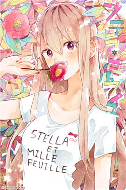 image Stella To Mille Feuille